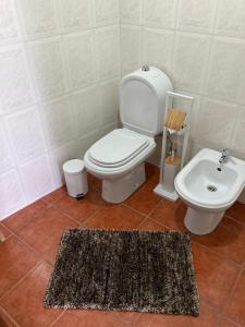 a bathroom with a toilet and a sink at Casa da Serra - Serra da Estrela in Seia