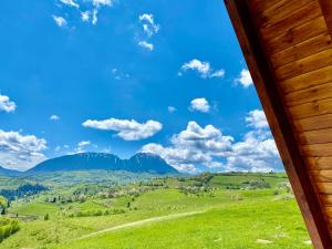 een hut met uitzicht op de bergen bij Green Hill Panoramic in Poiana Mărului