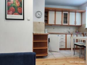 Kuchyňa alebo kuchynka v ubytovaní Apartamencik Super + 7 fotografií