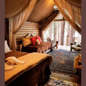 a bedroom with two beds and a window at Tedesco Eco Park in São Francisco de Paula +37 photos