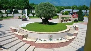 a tree in the middle of a park with stairs at Hotel Ginevra in Poggiomarino