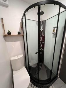 a bathroom with a shower with a white toilet at Cosy Casa in Abbeville