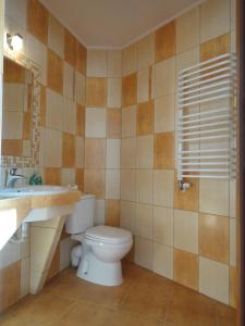 a bathroom with a toilet and a sink at Mirex in Krynica Zdrój