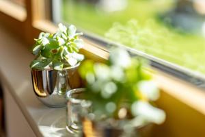 Aed väljaspool majutusasutust Appartements Veronika