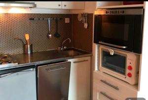 a small kitchen with a microwave and a sink at PRINCESSE DES NEIGES in Saint-Aventin