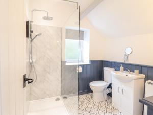 a bathroom with a shower and a toilet at 1 Hendom in Corwen +11 photos
