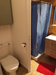 a bathroom with a toilet and a blue shower curtain at Appartement atelier d'artiste in Vanves