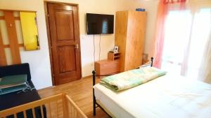 a bedroom with a bed and a tv on the wall at Pirovac - most beautiful beaches in Dalmatia in Pirovac