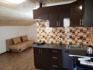 Η κουζίνα ή μικρή κουζίνα στο X-drive Apartments +3 φωτογραφίες