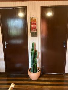 een cactus in een pot zittend voor een deur bij Hostel Antônio Pescador Guarda do Embau in Guarda do Embaú