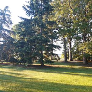 Градина пред L'EDEN proche du Zoo de Beauval de Saint Aignan