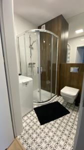 a bathroom with a shower and a toilet and a sink at Apartament Coral in Grzybowo