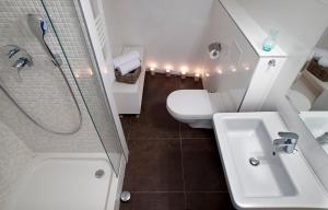 ein Bad mit einem WC, einem Waschbecken und einer Dusche in der Unterkunft Attic Apartments Split in Split