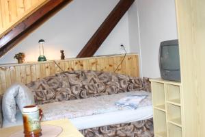 salon z kanapą i telewizorem w obiekcie Pension U Vlášků w Karlowych Warach
