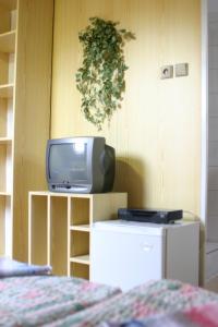 Telewizja i/lub zestaw kina domowego w obiekcie Pension U Vlášků