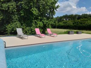 un grupo de sillas sentadas junto a una piscina en Maison/gîte-6 km de Tours en La Membrolle-sur-Choisille
