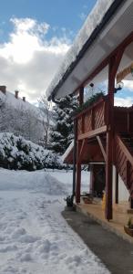 Zajček Apartma في موجسترانا: منزل مغطى بالثلج مع ساحة مغطاة بالثلج +86 صورة