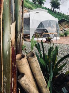 Afbeelding uit fotogalerij van Entre Verdes Hotel & Glamping in Medellín