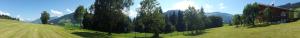 a green field with trees and a house on a hill at Schrandl Apartment Penningberg in Hopfgarten im Brixental