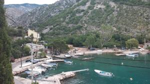 a group of boats are docked in a body of water at Apartments Krpan in Donja Klada