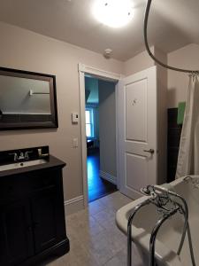 baño con lavabo y espejo en una habitación en By The River B&B, en Fredericton