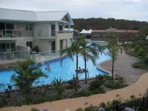 a swimming pool with palm trees in front of a house at Oaks Pacific Blue 349 fantastic pool in Salamander Bay