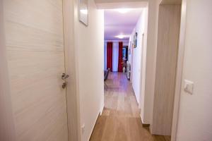 Fotografia z galérie ubytovania Apartment Sandro v destinácii Štinjan