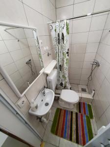 PrnjavorにあるGarsonjera u centru Prnjavorのバスルーム(トイレ、洗面台、鏡付)