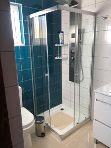 a bathroom with a glass shower with a toilet at Quinta Santa Rita - Príncipe in Cascalheira