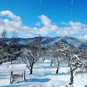 マイコリチンにあるKremenaの雪のベンチ