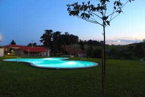 a blue swimming pool in a field with a tree at Lousada Country Hotel in Lousada