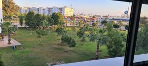 Blick auf einen Park mit Palmen und Gebäuden in der Unterkunft SuperAppart KENITRA in Kenitra