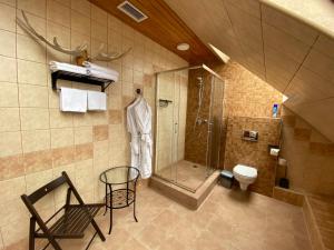 y baño con ducha, silla y aseo. en Irbis Hotel, en Kazán