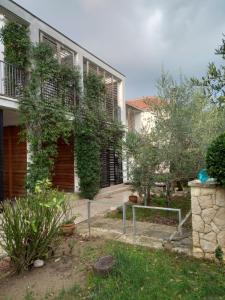 a building with ivy growing on the side of it at Villa Lipa in Zadar