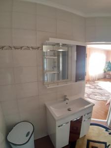 ein Bad mit einem Waschbecken und einem WC in der Unterkunft "Аромат Греції" in Berkhomet-pe-Siret