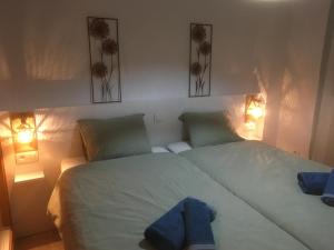 Duas camas num quarto com duas luzes em Casa Elsi Prachtig vernieuwd appartement em Manilva