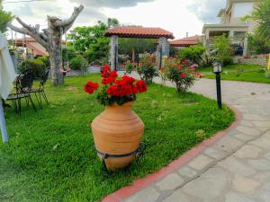 A garden outside Sundays Family House/Studio