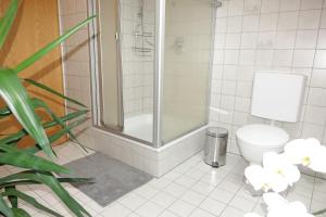 a bathroom with a shower and a toilet at Ferienwohnung Karch in Beilngries