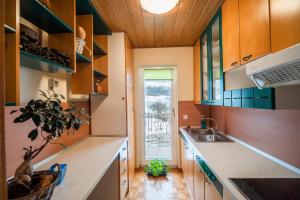 a kitchen with wooden cabinets and a sink and a plant at Apartment Tina with Seasonal Pool in Podsreda