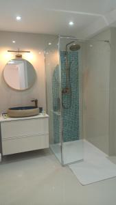 ein Badezimmer mit Dusche, Waschbecken und Spiegel in der Unterkunft Petite propriété de prestige entre Paris et Disneyland in Le Plessis-Trévise