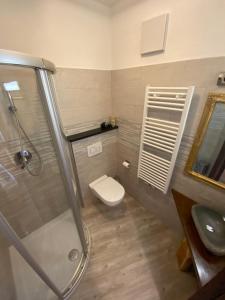 a bathroom with a toilet and a shower and a sink at Cesa Prinoth in Campitello di Fassa +47 photos