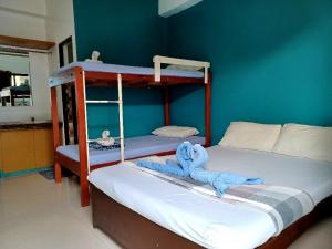 1 dormitorio con 2 literas y pared azul en Pete's inn en Roxas City