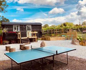 a ping pong table in front of a tiny house at Willow Brook Shepherd Hut in Sidmouth