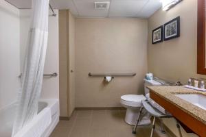Ett badrum på Comfort Inn & Suites near Danville Mall