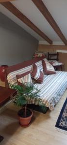 1 dormitorio con 1 cama con maceta en el suelo en ático, en Laguardia