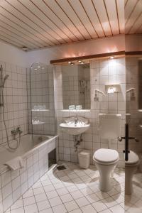 ライプニッツにあるHotel Restaurant Römerhofのバスルーム(トイレ、洗面台、シャワー付)