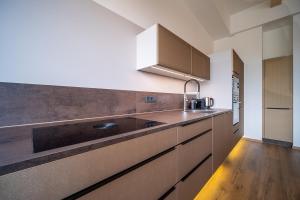 Kuchyň nebo kuchyňský kout v ubytování Lipno Port Apartment C304 - Lipno Home
