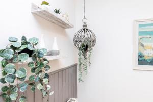 a pendant light hanging in a room with a plant at Little Gem in Swanage