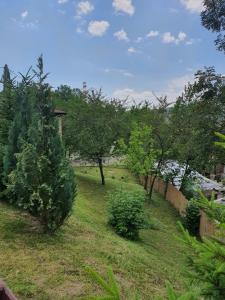 un patio con árboles, una valla y césped en Casa de vacanta Isabelle, en Comarnic