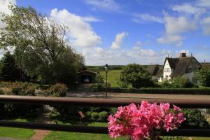 - une vue sur une maison avec des fleurs roses sur une clôture dans l'établissement Weitblick, à Tinnum